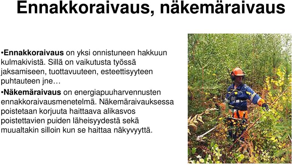 Näkemäraivaus on energiapuuharvennusten ennakkoraivausmenetelmä.