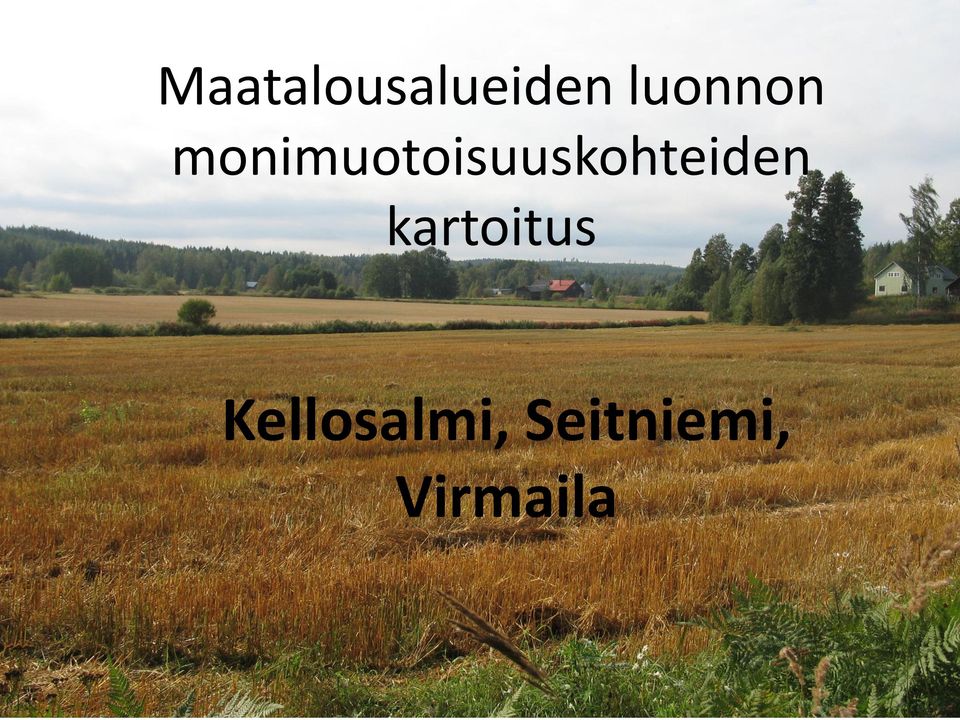 kartoitus Kellosalmi,