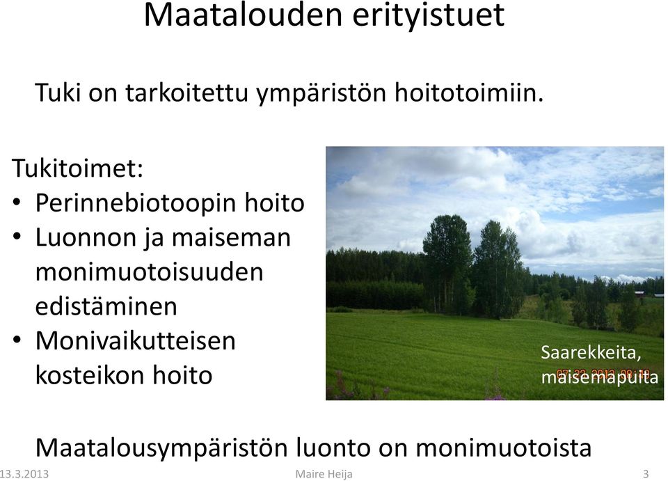 monimuotoisuuden edistäminen Monivaikutteisen kosteikon hoito