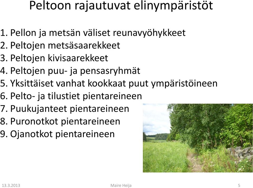 Yksittäiset vanhat kookkaat puut ympäristöineen 6. Pelto- ja tilustiet pientareineen 7.