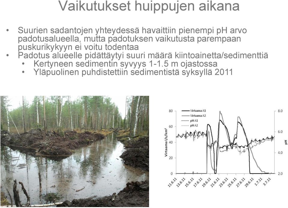 todentaa Padotus alueelle pidättäytyi suuri määrä kiintoainetta/sedimenttiä