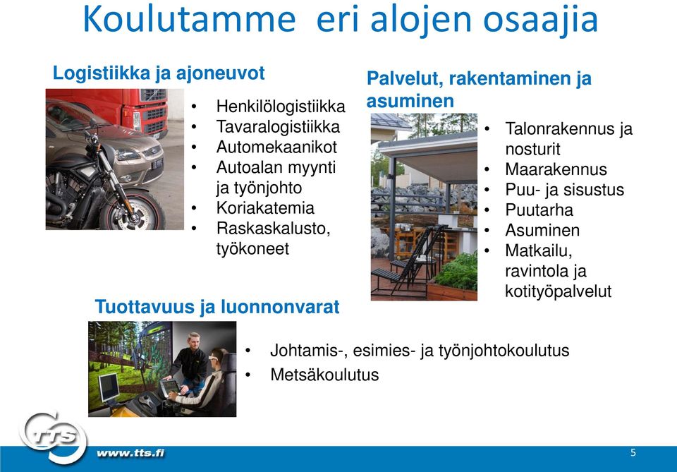 luonnonvarat Palvelut, rakentaminen ja asuminen Talonrakennus ja nosturit Maarakennus Puu- ja