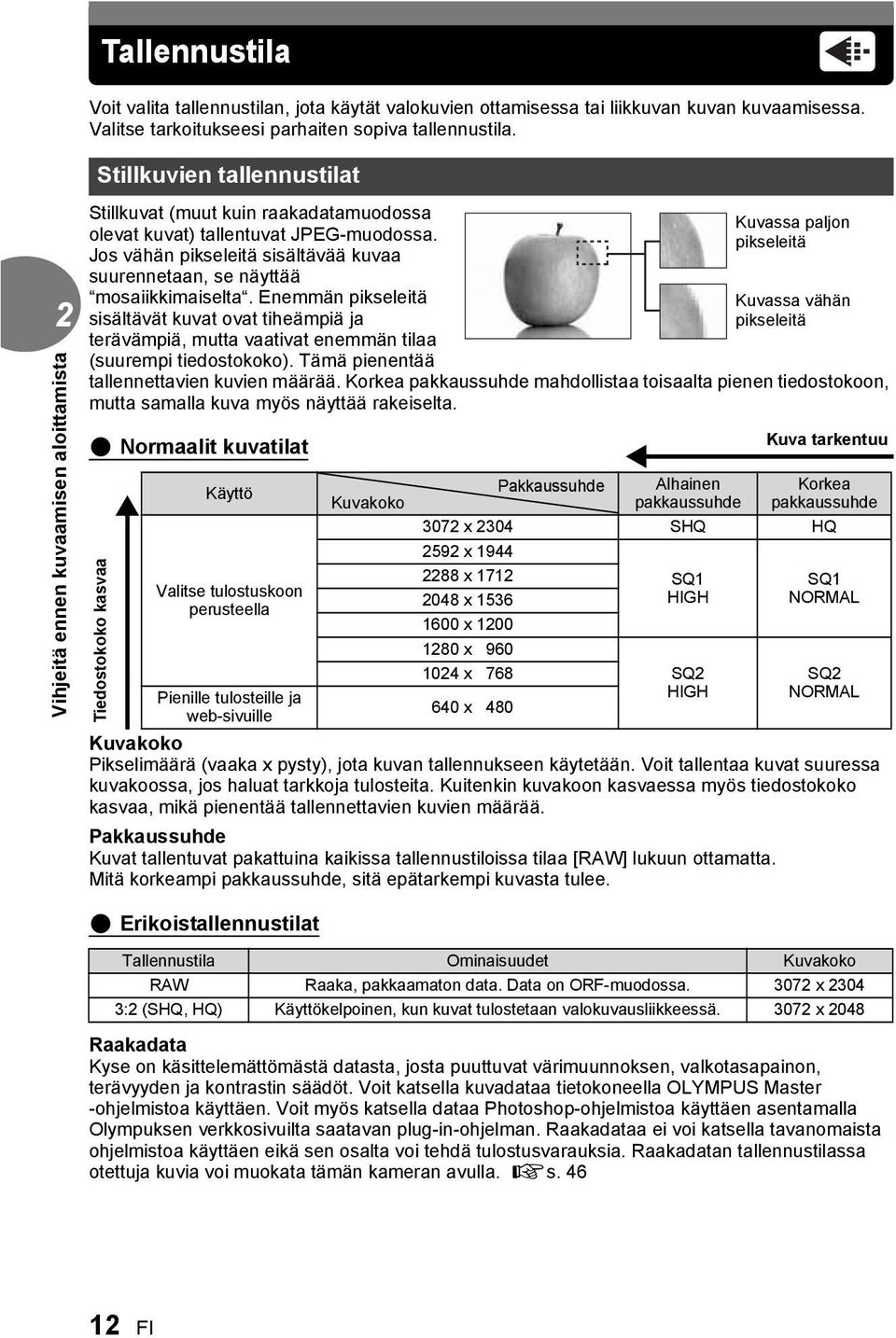 Jos vähän pikseleitä sisältävää kuvaa suurennetaan, se näyttää mosaiikkimaiselta.