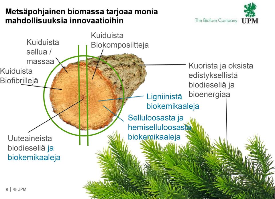 Kuiduista Biokomposiitteja Kuorista ja oksista edistyksellistä biodieseliä ja