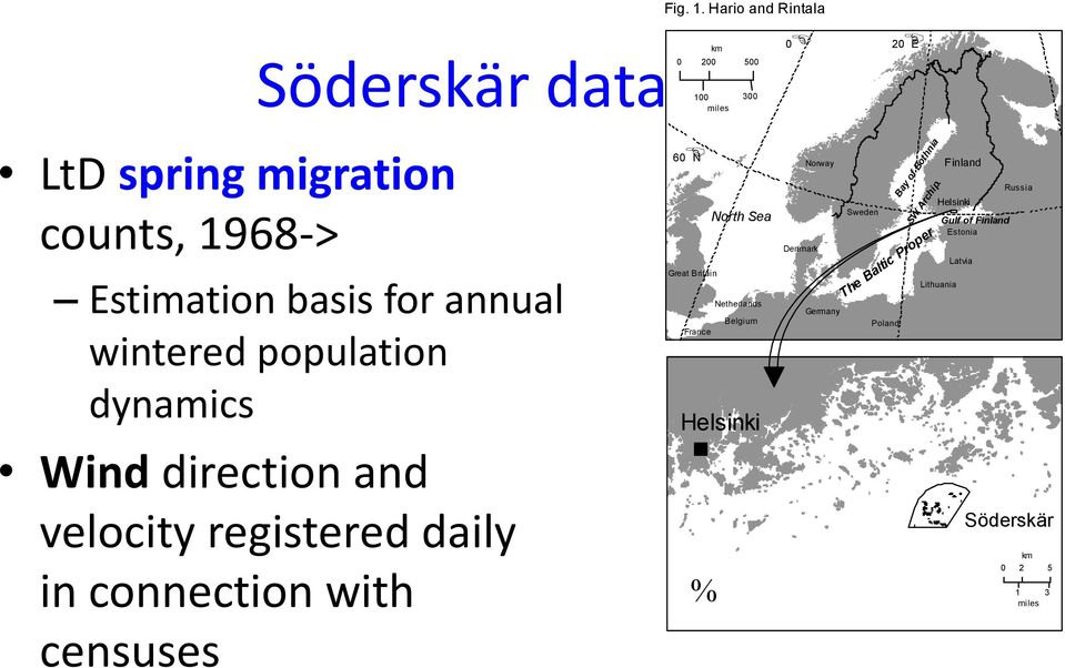 wintered population dynamics Wind direction and velocity registered daily in connection with censuses 60 N North Sea