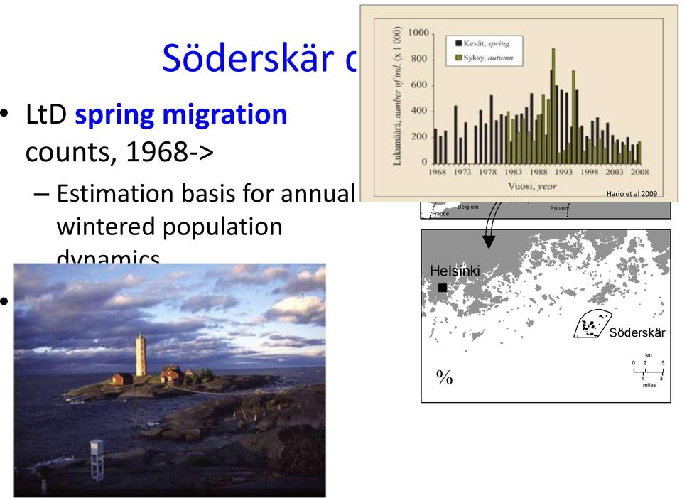 population dynamics Wind direction and velocity registered daily in connection with censuses 60 N North Sea Great Britain