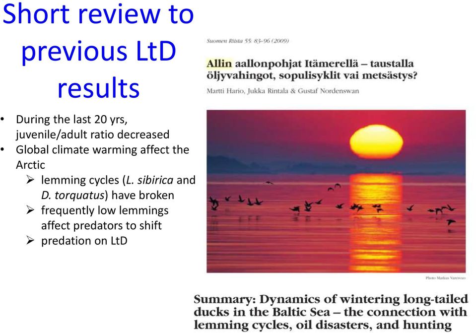 Arctic lemming cycles (L. sibirica and D.