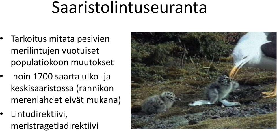 1700 saarta ulko- ja keskisaaristossa (rannikon