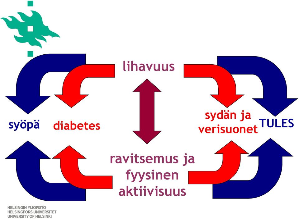 verisuonet TULES