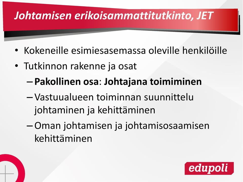 Johtajana toimiminen Vastuualueen toiminnan suunnittelu