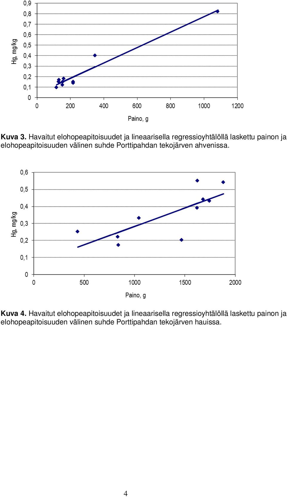 ja elohopeapitoisuuden välinen suhde Porttipahdan tekojärven ahvenissa. Kuva 4.