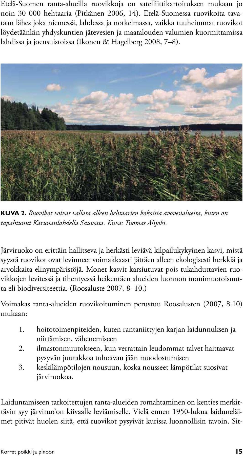 joensuistoissa (Ikonen & Hagelberg 2008, 7 8). Kuva 2. Ruovikot voivat vallata alleen hehtaarien kokoisia avovesialueita, kuten on tapahtunut Karunanlahdella Sauvossa. Kuva: Tuomas Alijoki.
