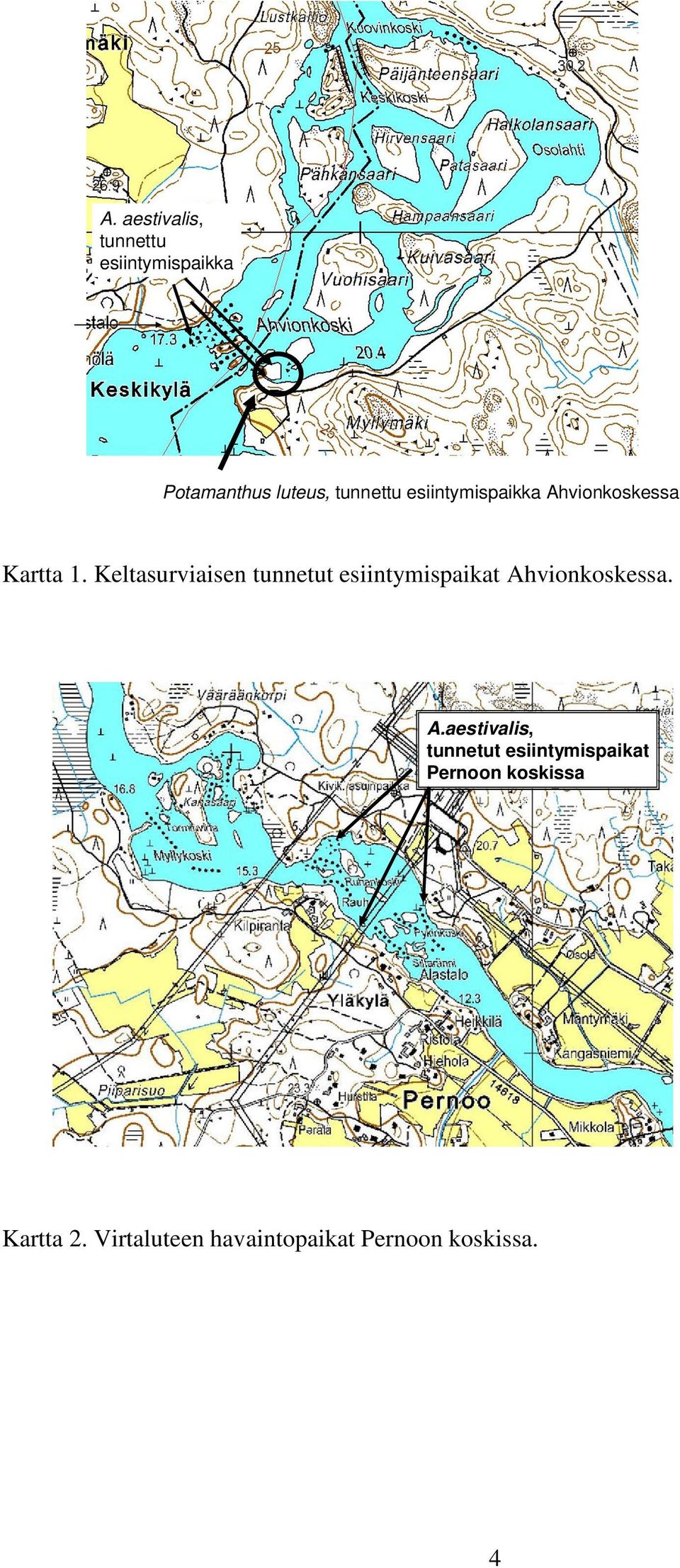 Keltasurviaisen tunnetut esiintymispaikat Ah