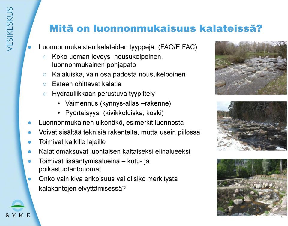 ohittavat kalatie Hydrauliikkaan perustuva tyypittely Vaimennus (kynnys-allas rakenne) Pyörteisyys (kivikkoluiska, koski) Luonnonmukainen ulkonäkö, esimerkit