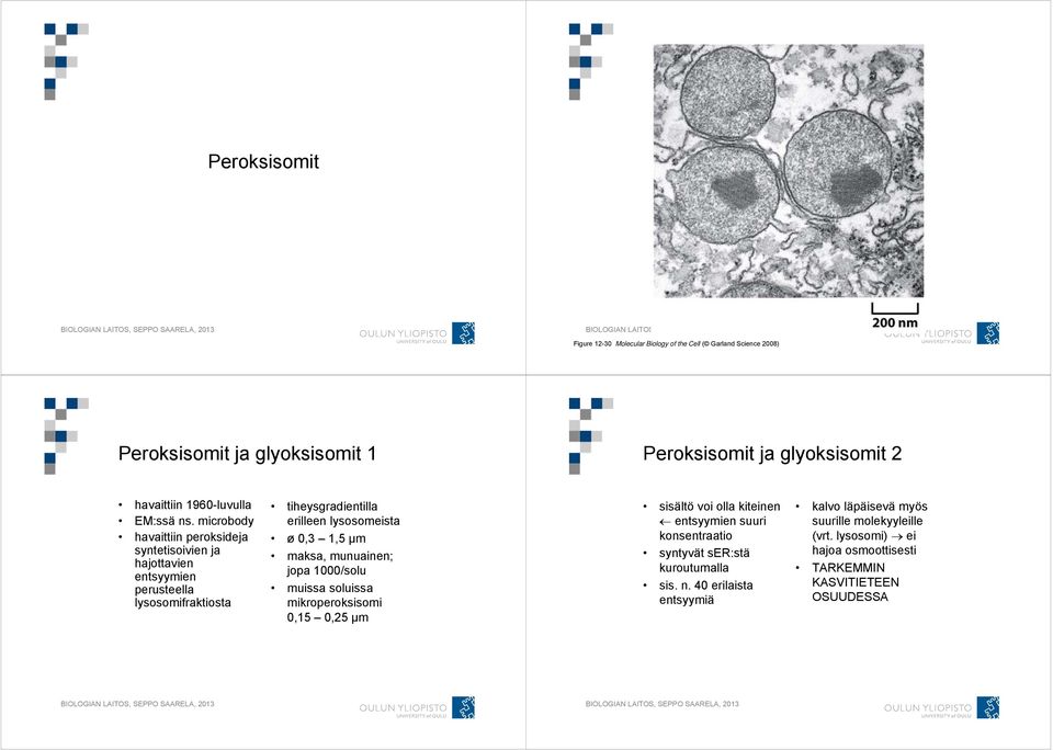 microbody havaittiin peroksideja syntetisoivien ja hajottavien entsyymien perusteella lysosomifraktiosta tiheysgradientilla erilleen lysosomeista ø 0,3 1,5 µm