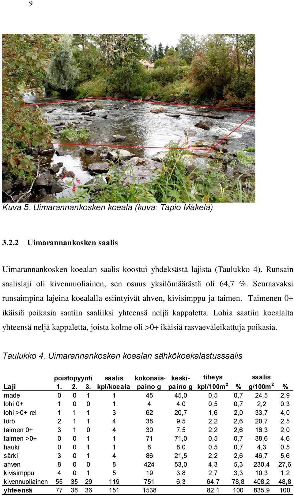 Taimenen 0+ ikäisiä poikasia saatiin saaliiksi yhteensä neljä kappaletta. Lohia saatiin koealalta yhteensä neljä kappaletta, joista kolme oli >0+ ikäisiä rasvaeväleikattuja poikasia. Taulukko 4.