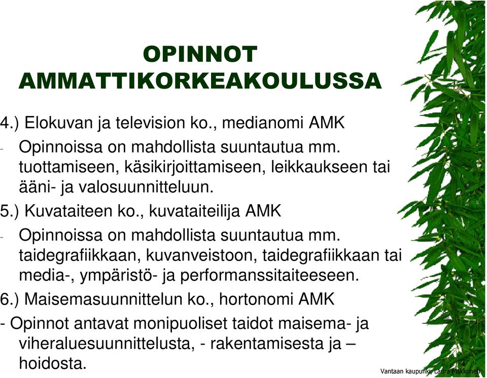 , kuvataiteilija AMK - Opinnoissa on mahdollista suuntautua mm.