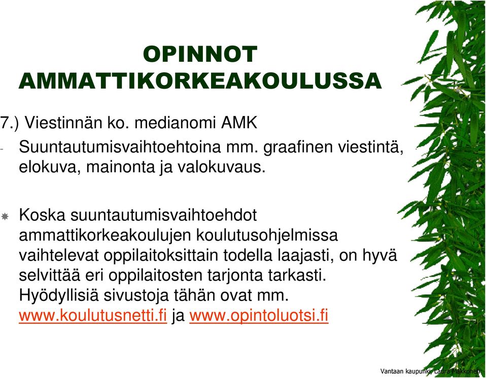 Koska suuntautumisvaihtoehdot ammattikorkeakoulujen koulutusohjelmissa vaihtelevat oppilaitoksittain