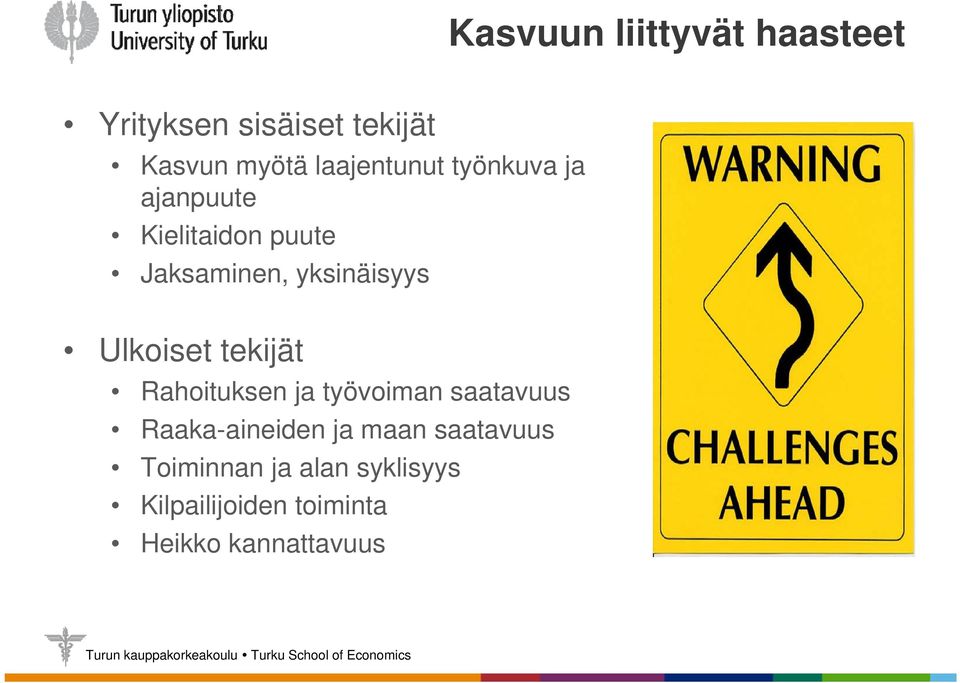 yksinäisyys Ulkoiset tekijät Rahoituksen ja työvoiman saatavuus