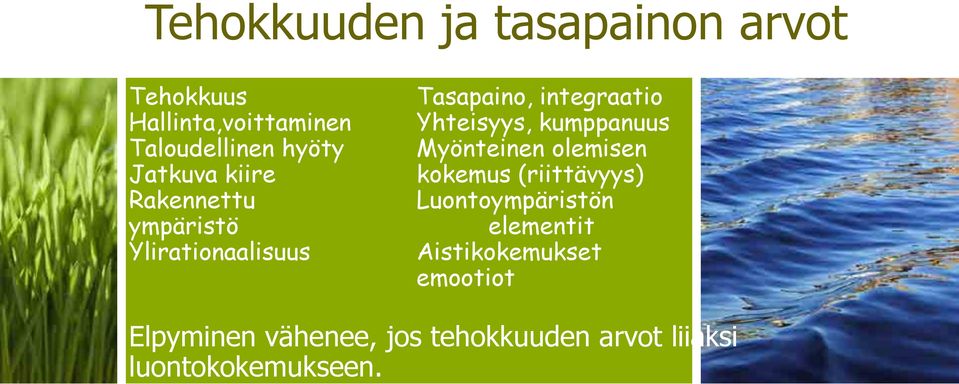 Yhteisyys, kumppanuus Myönteinen olemisen kokemus (riittävyys) Luontoympäristön