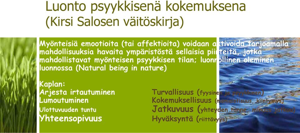 luonnossa (Natural being in nature) Kaplan: Arjesta irtautuminen Lumoutuminen Ulottuvuuden tuntu Yhteensopivuus Turvallisuus