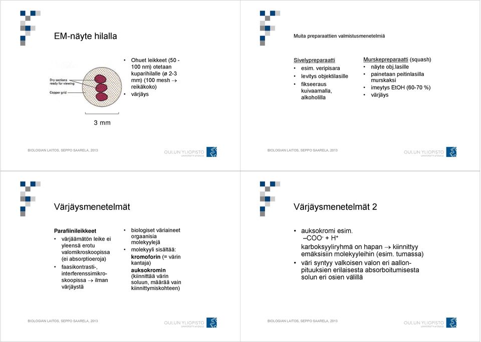 lasille painetaan peitinlasilla murskaksi imeytys EtOH (60-70 %) värjäys 3 mm Värjäysmenetelmät Värjäysmenetelmät 2 Parafiinileikkeet värjäämätön leike ei yleensä erotu valomikroskoopissa (ei