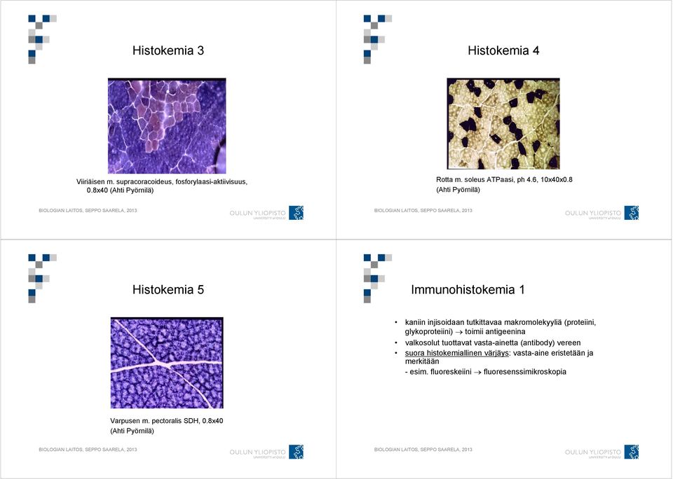 8 (Ahti Pyörnilä) Histokemia 5 Immunohistokemia 1 kaniin injisoidaan tutkittavaa makromolekyyliä (proteiini, glykoproteiini)