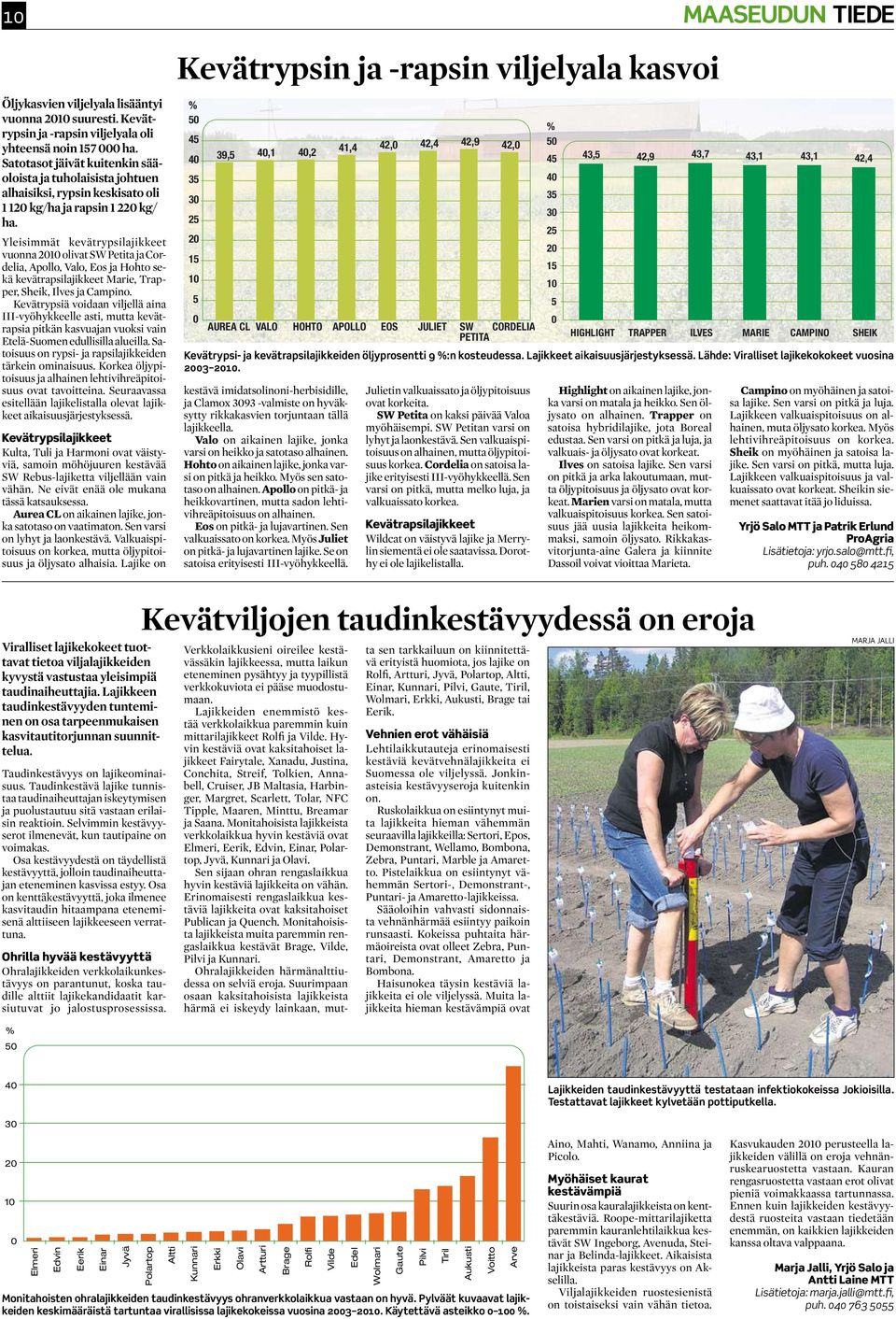 Yleisimmät kevätrypsilajikkeet vuonna 21 olivat SW Petita ja Cordelia, Apollo, Valo, Eos ja Hohto sekä kevätrapsilajikkeet Marie, Trapper, Sheik, Ilves ja Campino.