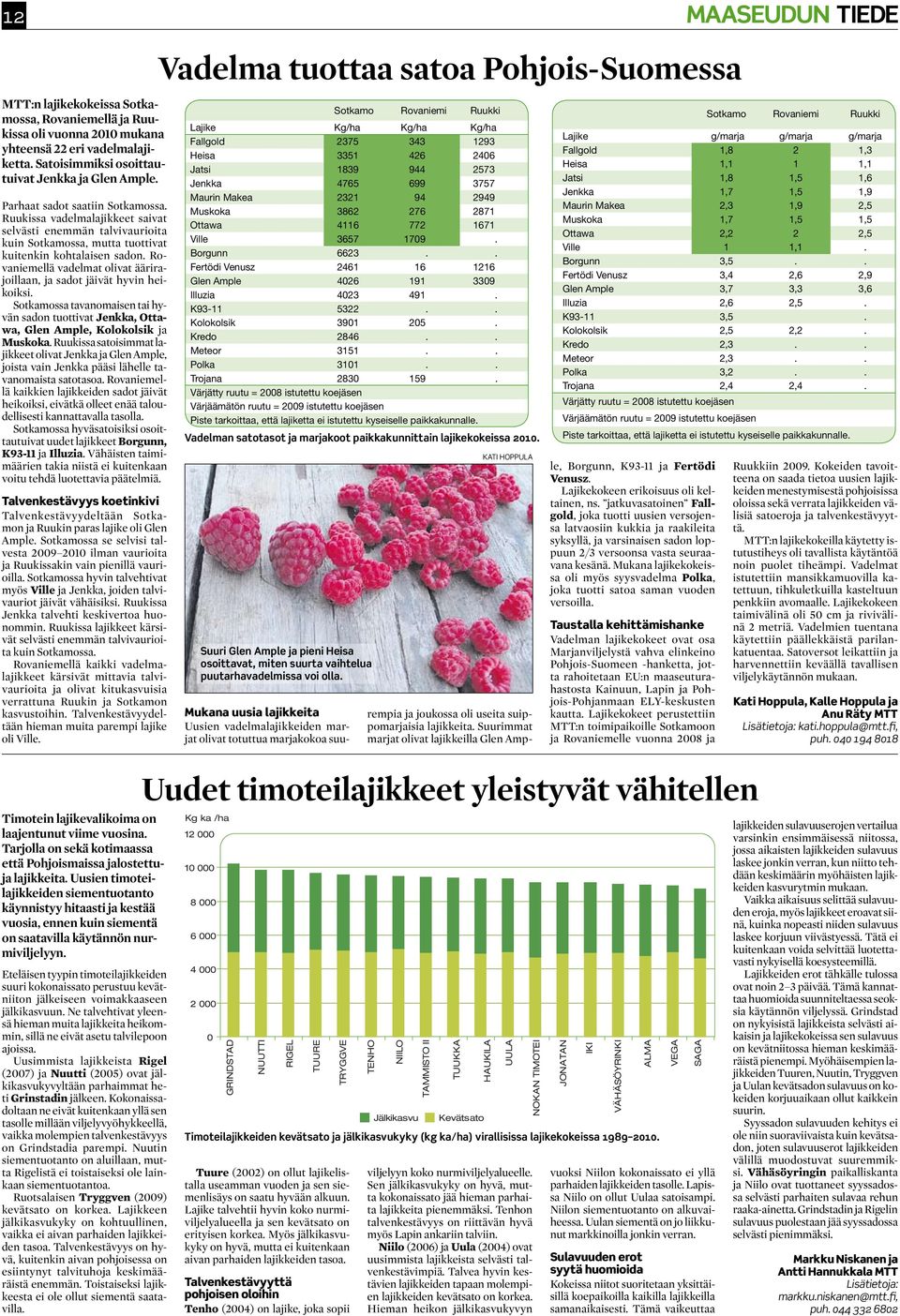 Ruukissa vadelmalajikkeet saivat selvästi enemmän talvivaurioita kuin Sotkamossa, mutta tuottivat kuitenkin kohtalaisen sadon.