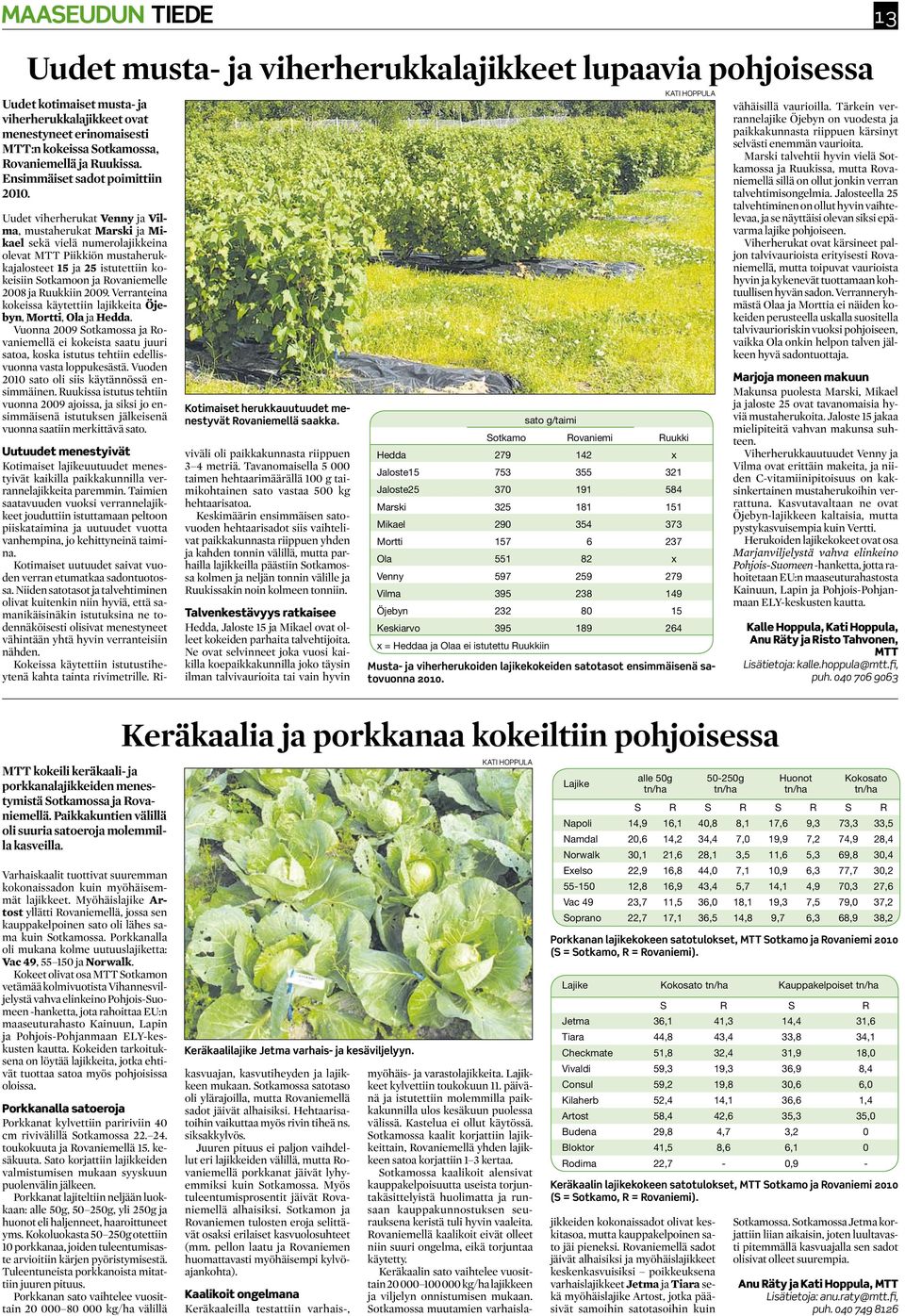 Uudet viherherukat Venny ja Vilma, mustaherukat Marski ja Mikael sekä vielä numerolajikkeina olevat MTT Piikkiön mustaherukkajalosteet 15 ja 25 istutettiin kokeisiin Sotkamoon ja Rovaniemelle 28 ja