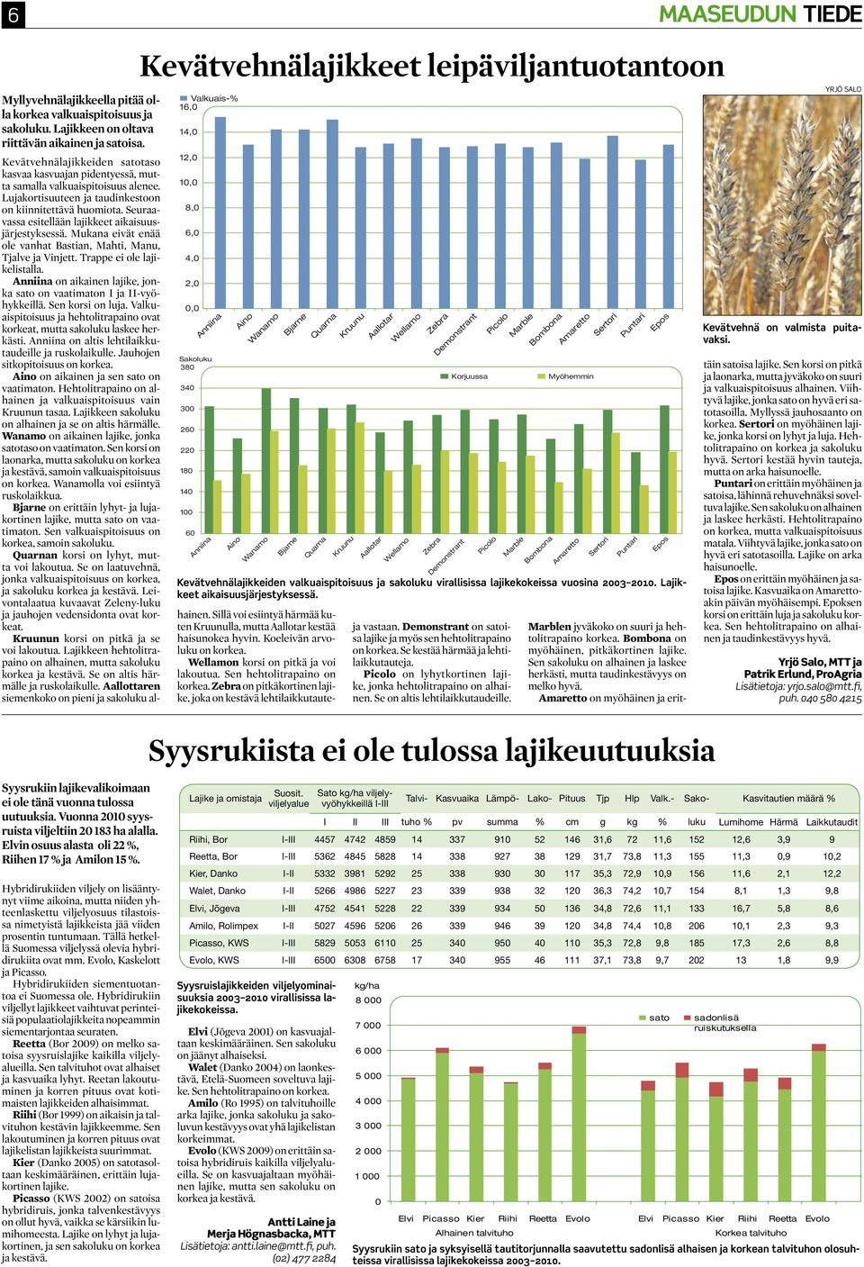 lajikekokeissa vuosina 23 21. Lajikkeet aikaisuusjärjestyksessä.