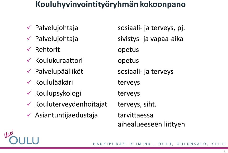 Asiantuntijaedustaja sosiaali- ja terveys, pj.