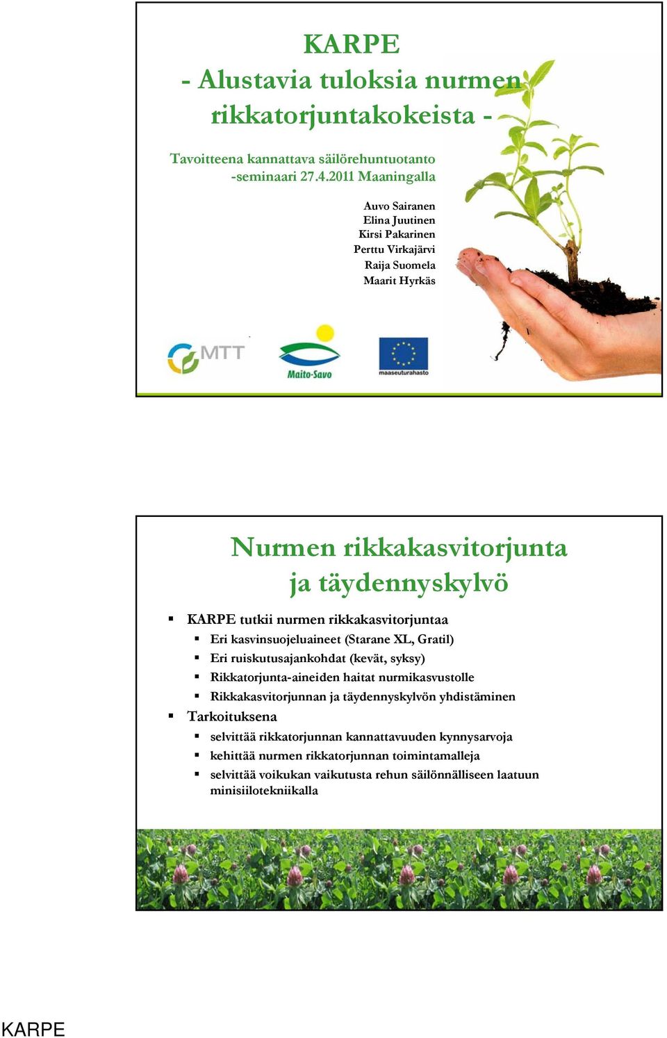rikkakasvitorjuntaa Eri kasvinsuojeluaineet (Starane XL, Gratil) Eri ruiskutusajankohdat (kevät, syksy) Rikkatorjunta-aineiden haitat nurmikasvustolle Rikkakasvitorjunnan