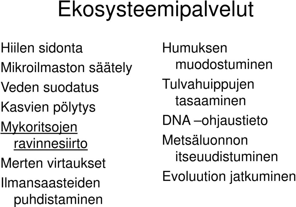 Ilmansaasteiden puhdistaminen Humuksen muodostuminen Tulvahuippujen