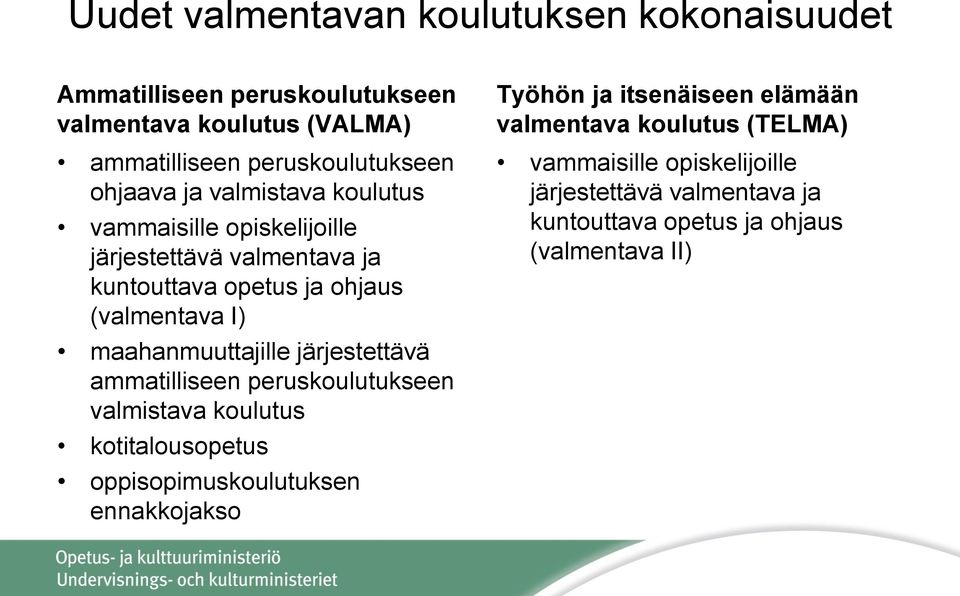 maahanmuuttajille järjestettävä ammatilliseen peruskoulutukseen valmistava koulutus kotitalousopetus oppisopimuskoulutuksen ennakkojakso