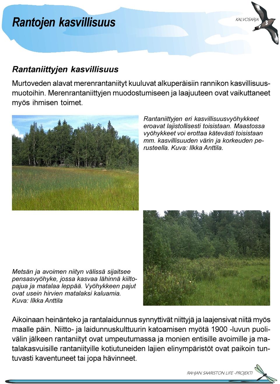 Maastossa vyöhykkeet voi erottaa kätevästi toisistaan mm. kasvillisuuden värin ja korkeuden perusteella. Kuva: Ilkka Anttila.