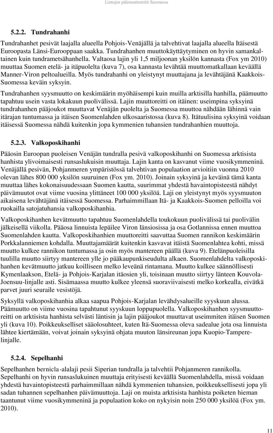 Valtaosa lajin yli 1,5 miljoonan yksilön kannasta (Fox ym 2010) muuttaa Suomen etelä- ja itäpuolelta (kuva 7), osa kannasta levähtää muuttomatkallaan keväällä Manner-Viron peltoalueilla.
