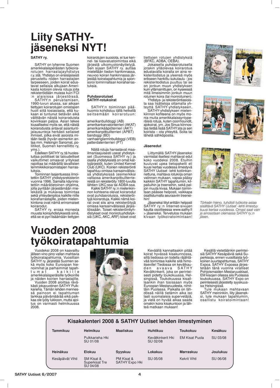 Kannessa: Snapperamerikanpitbullterrieri, pussijuoksuhirmu. SATHY Expo 2007  kisatulokset, kuvat ja jutut - PDF Free Download