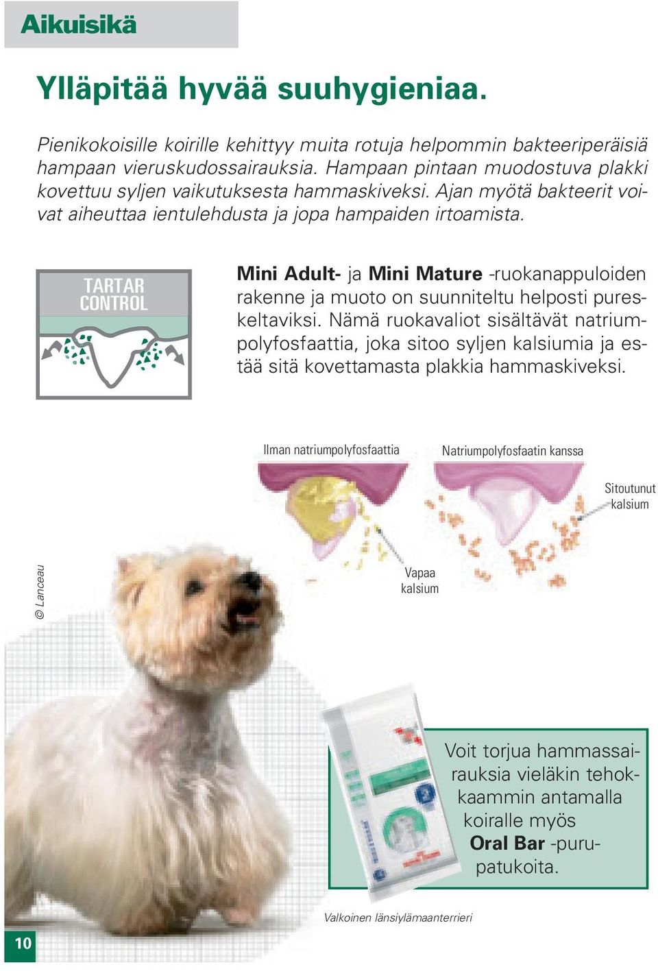 TARTAR CONTROL Mini Adult- ja Mini Mature -ruokanappuloiden rakenne ja muoto on suunniteltu helposti pureskeltaviksi.