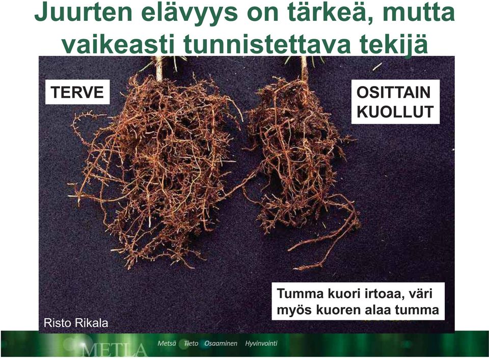 OSITTAIN KUOLLUT Risto Rikala Tumma