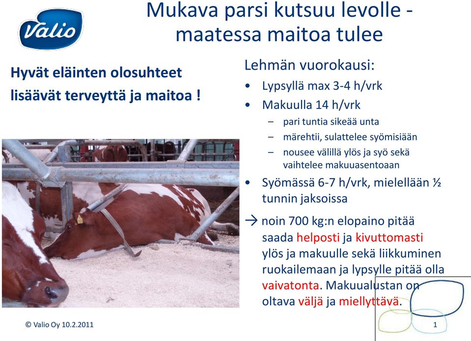 ylös ja syö sekä vaihtelee makuuasentoaan Syömässä 6-7 h/vrk, mielellään ½ tunnin jaksoissa noin 700 kg:n elopaino pitää saada