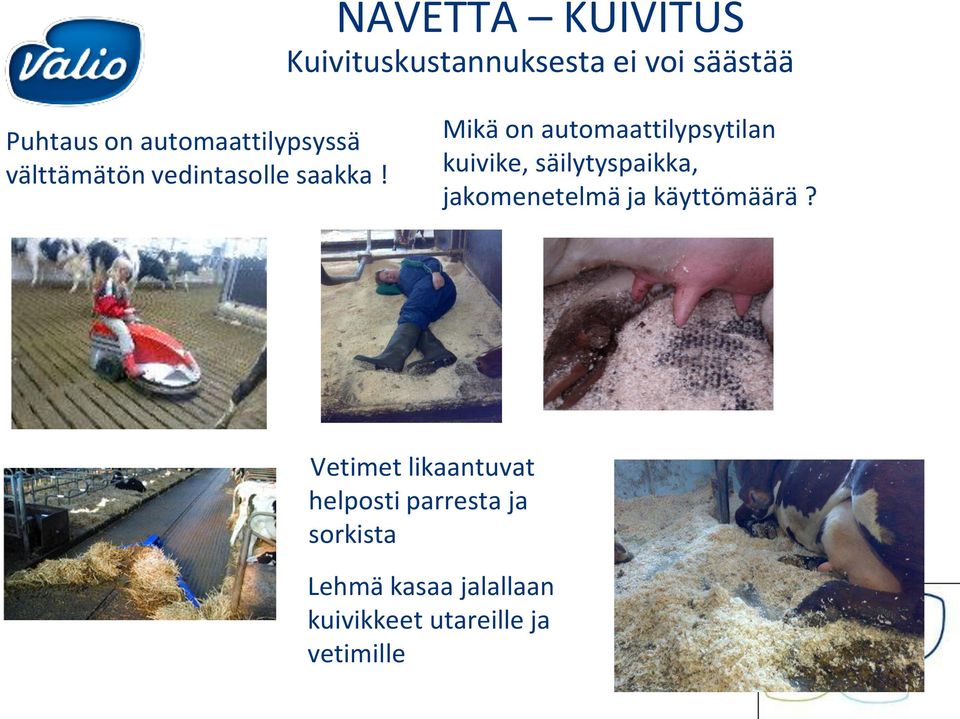 Mikä on automaattilypsytilan kuivike, säilytyspaikka, jakomenetelmä ja