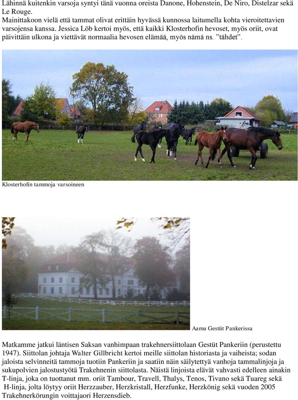 Jessica Löb kertoi myös, että kaikki Klosterhofin hevoset, myös oriit, ovat päivittäin ulkona ja viettävät normaalia hevosen elämää, myös nämä ns. tähdet.