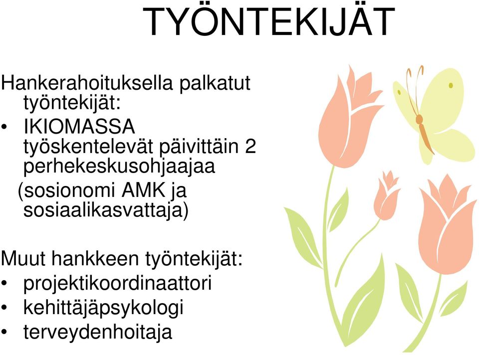 (sosionomi AMK ja sosiaalikasvattaja) Muut hankkeen