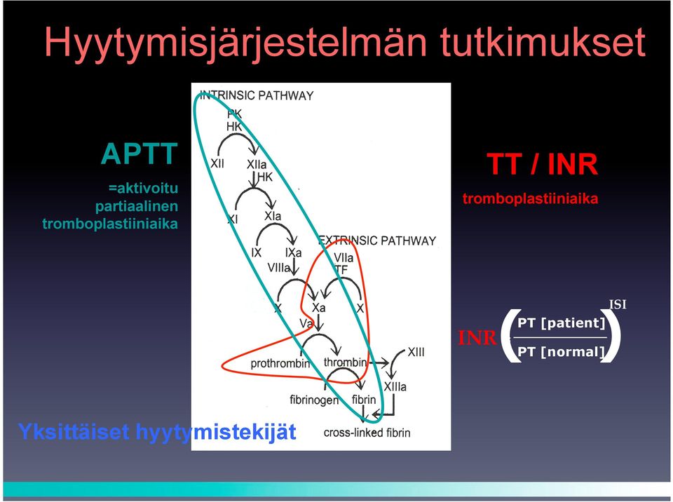 TT / INR tromboplastiiniaika INR = ISI PT