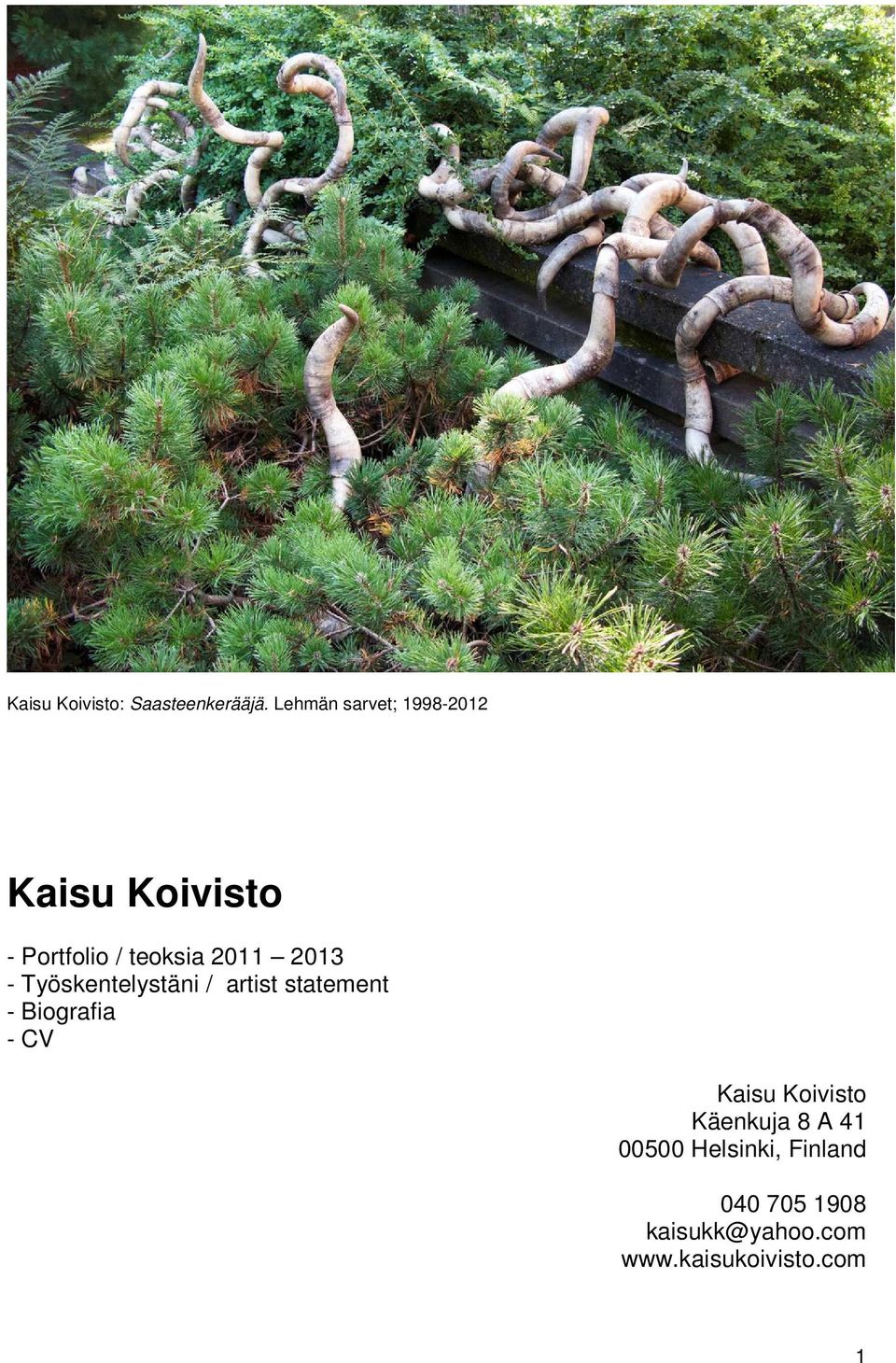 2013 - Työskentelystäni / artist statement - Biografia - CV Kaisu