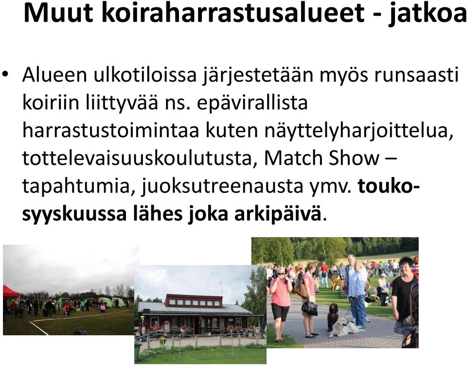 epävirallista harrastustoimintaa kuten näyttelyharjoittelua,