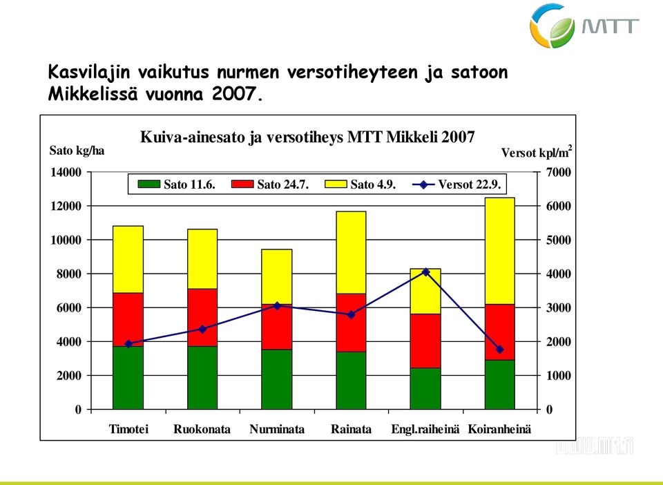 Mikkeli 2007 Versot kpl/m 2 7000 Sato 11.6. Sato 24.7. Sato 4.9.