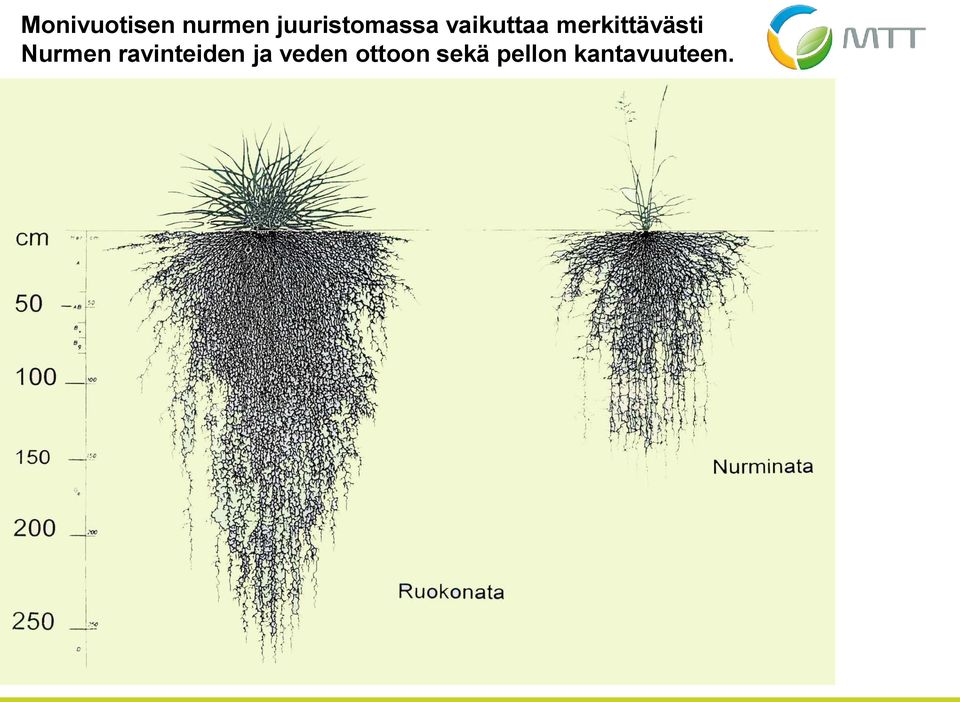 merkittävästi Nurmen