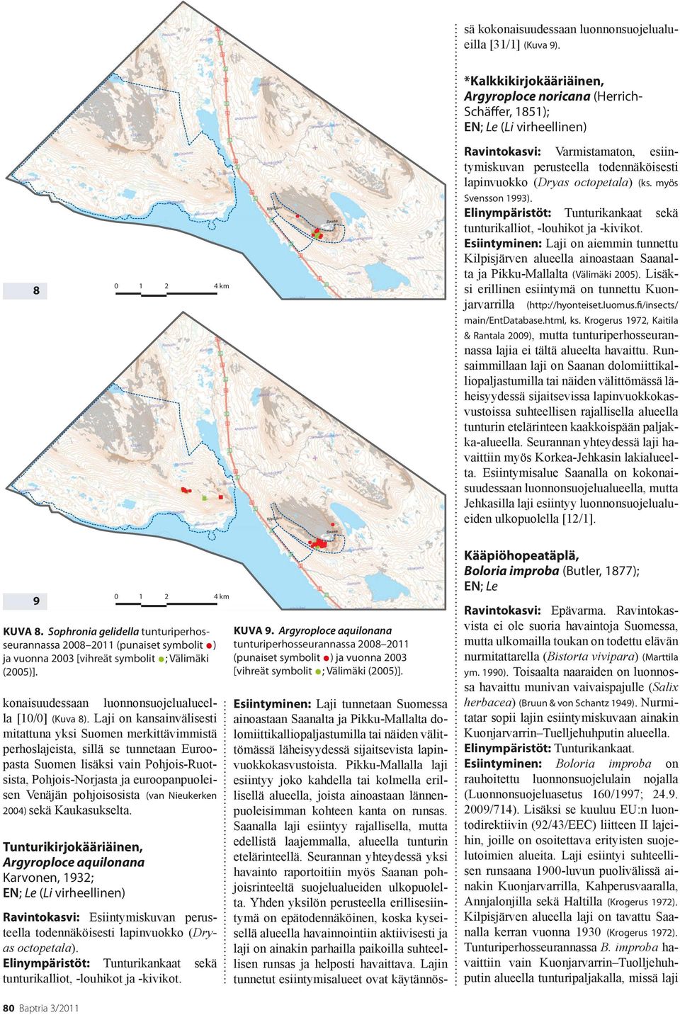 Shirkasjokiakso kil aaks o Korkea-Jehkas ehka Shirkasjokiakso kil aaks o Saana a Saana a Iso-Jehkas Iso-Jehkas Ravintokasvi: Varmistamaton, esiintymiskuvan perusteel todennäköisesti pinvuokko (Dryas